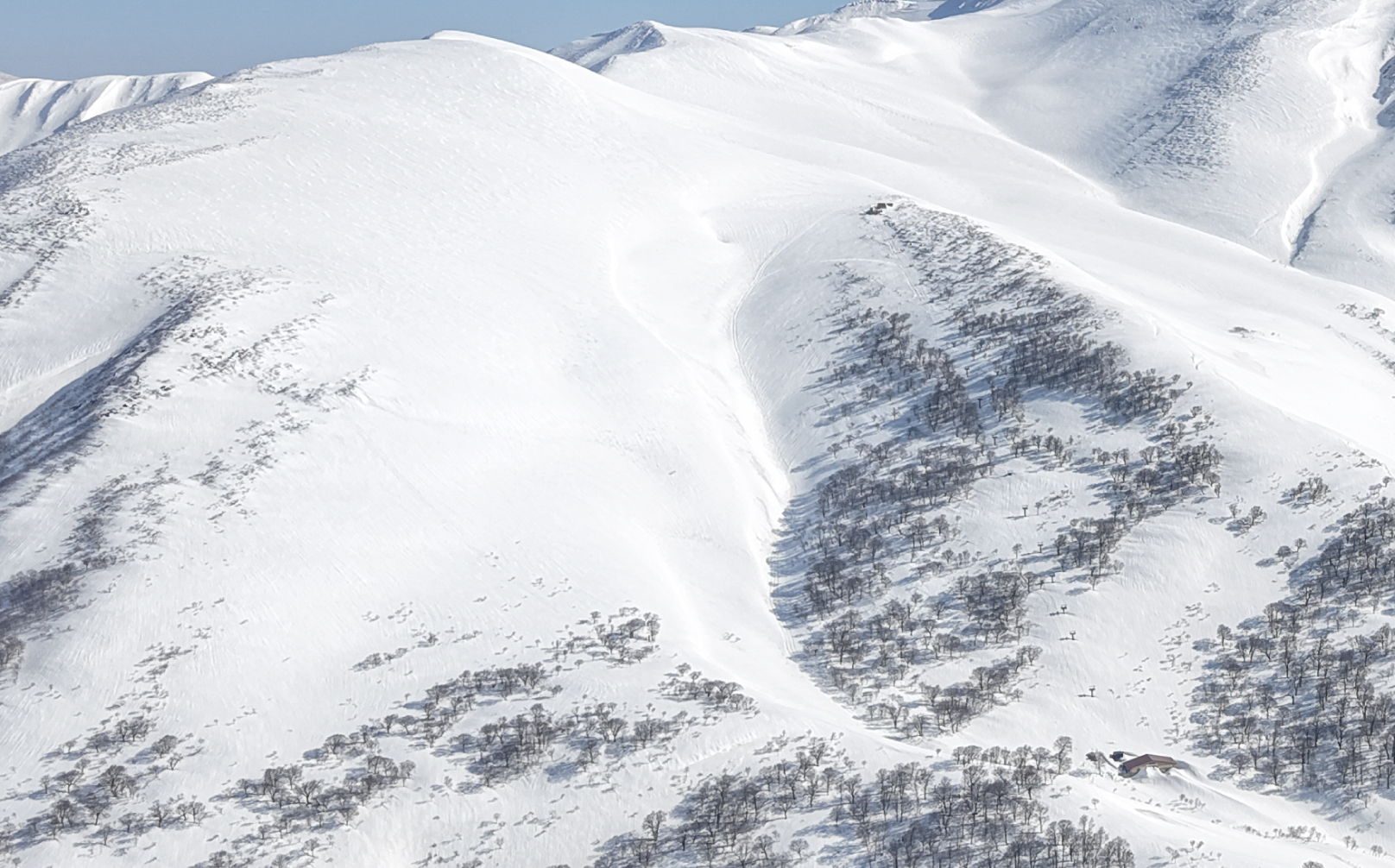 月山スキー場 ゲレンデマップ